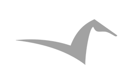 Train to Progress logos 2024 white no text sml